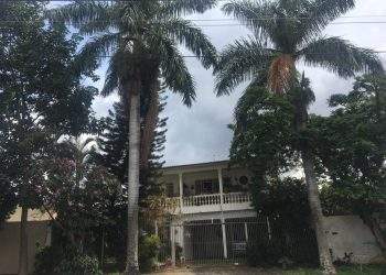 mywm aecaa13d 250d 4cf4 8a6c 018b539187ec 1.jpeg 1