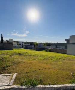 mywm b3b8a236 b4e6 4ede 8211 59f5ba86b258 3.jpg 3