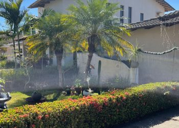 mywm b7a9cc31 aaaa 408e 9250 8289a240fe14 2.jpeg 2