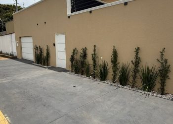 mywm bcc51afc 8216 4635 ad72 73acdd3dcbe6.jpeg