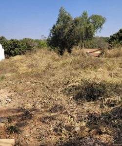 mywm c1835c5c eedd 4298 847c d48d47a21c31.jpeg