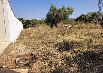 mywm c1835c5c eedd 4298 847c d48d47a21c31.jpeg