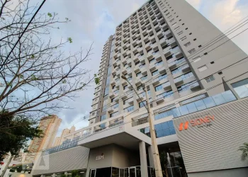 mywm c288f22d bb22 4fa0 8bad 92b1842faf0f.webp