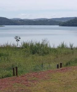 mywm ccc506cd 5f5f 4322 838d 35698bcba00a 1.jpg 1