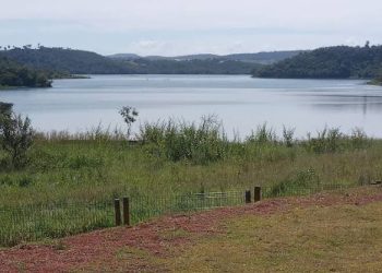 mywm ccc506cd 5f5f 4322 838d 35698bcba00a 4.jpg 4