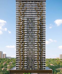 mywm d6ecfd3f 12de 4bdc b44f 1fed56e5f9fa.jpg