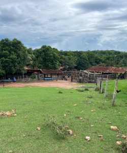 mywm d9a99e2b 70b4 4ad2 97ee 1abc53e04d63 2.jpeg 2