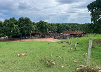 mywm d9a99e2b 70b4 4ad2 97ee 1abc53e04d63 2.jpeg 2