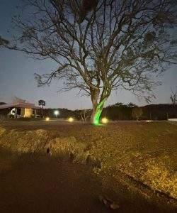 mywm e66133d2 00aa 4118 9760 8b66683fdcee.jpeg