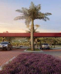 mywm ea2f151a 7316 49e8 b8cc 7660c2228874.jpg