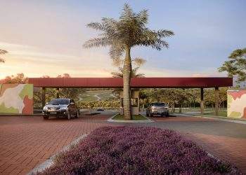 mywm ea2f151a 7316 49e8 b8cc 7660c2228874.jpg