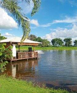 mywm f0ea2026 ca7e 4996 af19 8c02c950fb99.jpeg