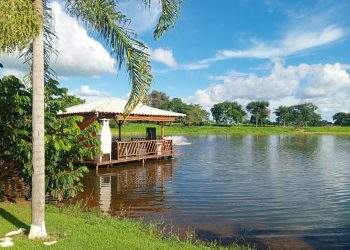 mywm f0ea2026 ca7e 4996 af19 8c02c950fb99.jpeg