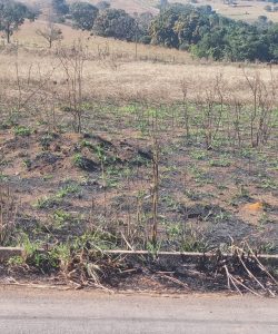 mywm f2b3a4c6 3800 42ea a943 1a2c1e85e55a.jpeg