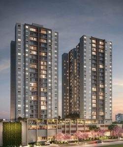 mywm f4df2ae8 a02e 47f8 a7be 8aea3e0886e4 1.jpg 1