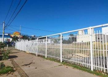 mywm fb73cb7c ac0f 4caa bf99 eedd5991b1af.jpeg