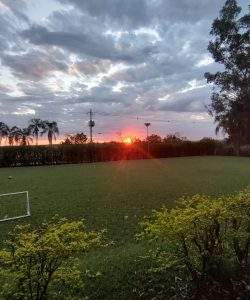 mywm fb802198 c450 44e9 8e39 bdabc4354a52.jpeg