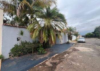 mywm fc9745f9 fc4e 42b0 a24b df21ff9446d9.jpeg