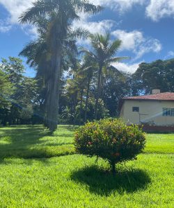 mywm fe9fef63 1c63 4bc2 9f69 a84b9ea0481e 1.jpeg 1