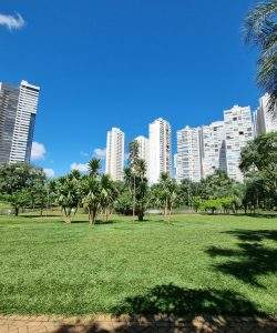 parque flamboyant